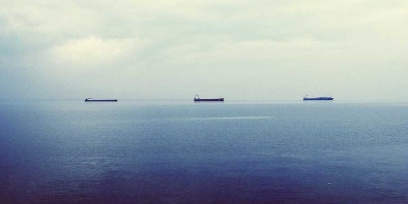 长春净月潭梅花林，粉嫩的花朵与雪地形成鲜明对比，浪漫温馨