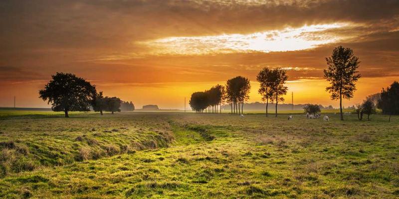 国家大剧院外景，背景为北京中轴线
