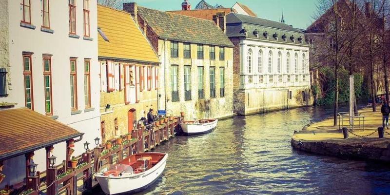 “我们来啦！”旅马大熊猫“辰星”“晓月”与公众见面