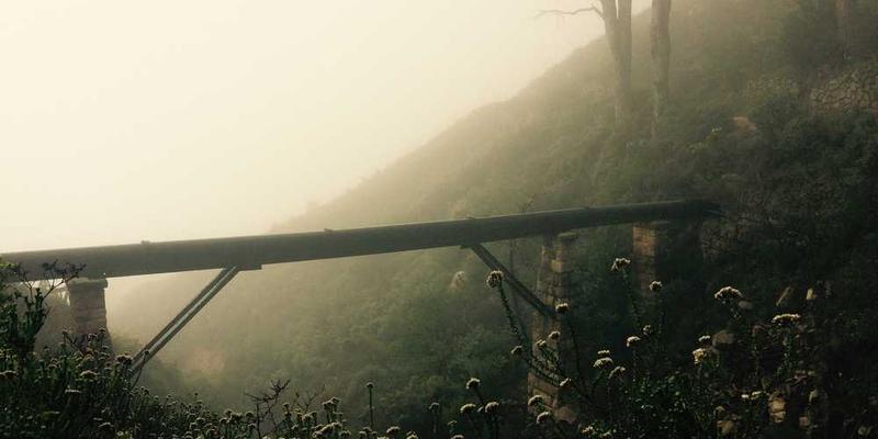 第一观察｜中韩元首时隔两个月实现互访意义深远