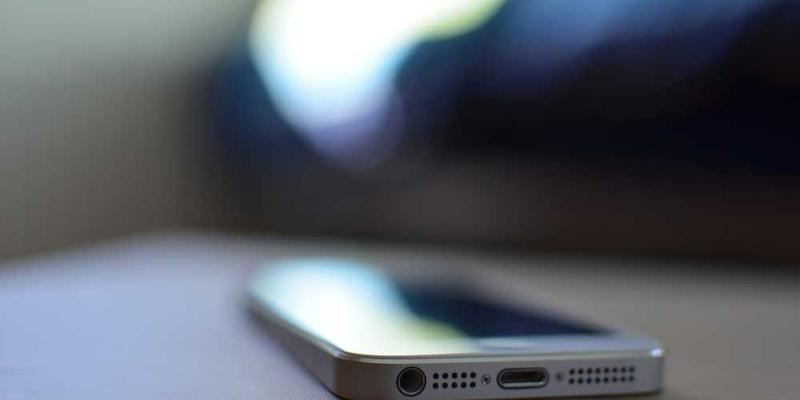 活动现场热闹非凡，村民们围坐在篝火旁欢庆的景象