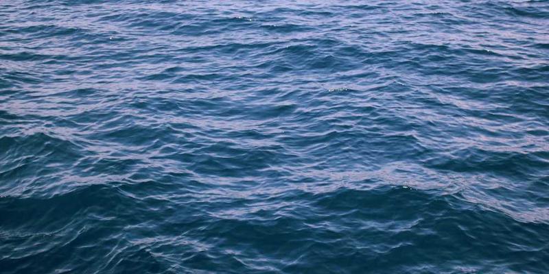 鼻病毒感染不能自行服用奥司他韦