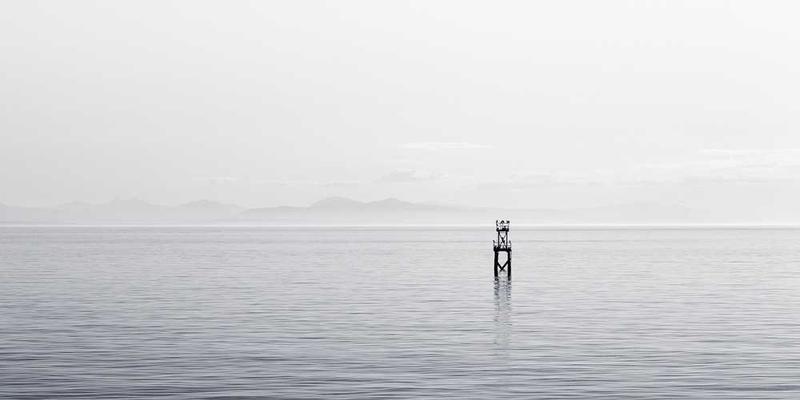 钓鱼爱好者们收获颇丰，满载而归