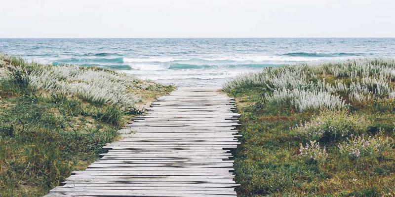 海南警营开放日：警务技能展示亮眼 前沿装备吸睛