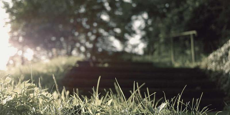 一个温馨的场景，一位奶奶和一个小男孩在餐厅用餐，男孩正把面条夹断递给奶奶