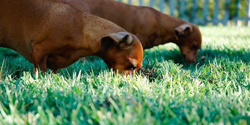探访长三角（德清）具身智能数据采集训练场