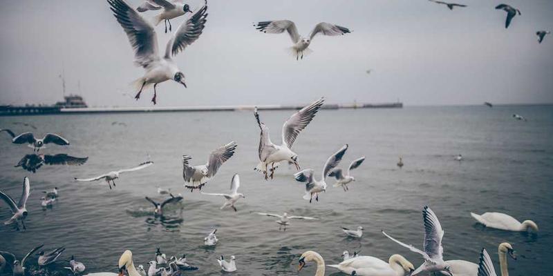 观察网络论战时，超越事实与逻辑、纯粹情绪驱动的“立场暗物质”对撞