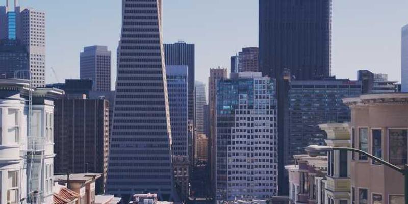 红蜻蜓方便面包装和内容展示