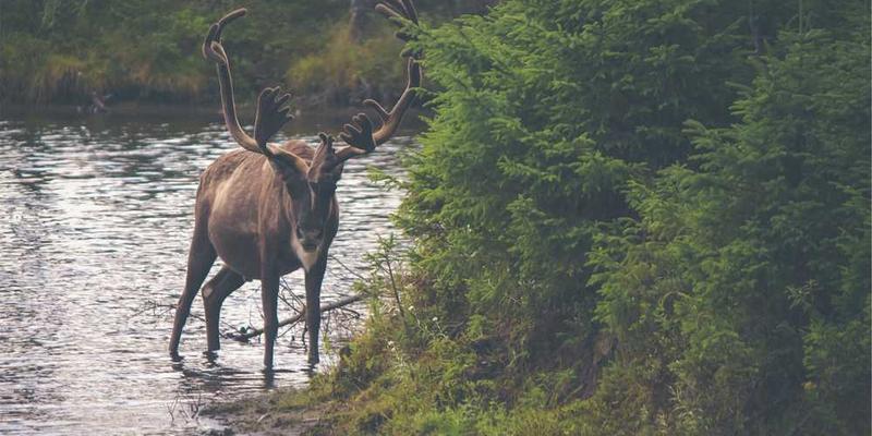 志愿者们在公益活动现场