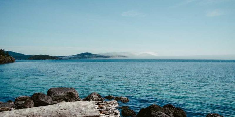 斯蒂芬·茨威格的经典著作封面