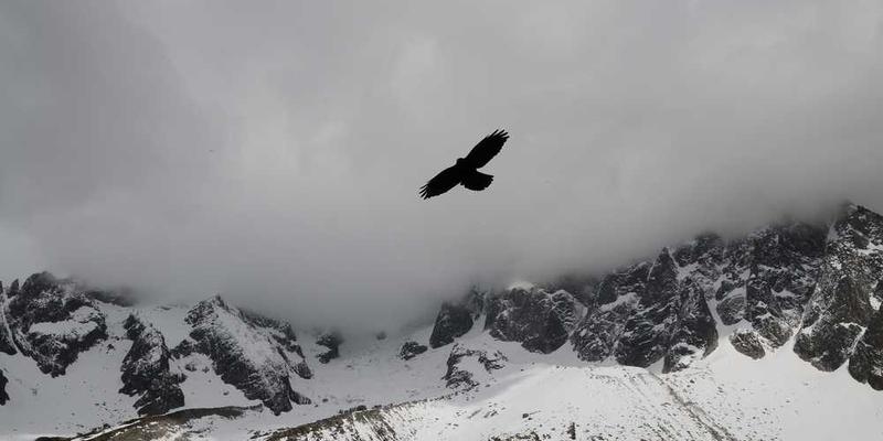 一个现代、科技感十足的界面,中间是一个星座符号,周围分布着各种职业图标,背景是抽象的星空图案。
