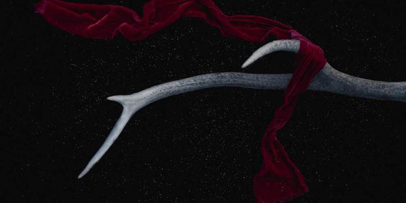 让AI预测自己未来十年的发展路径,它给出的曲线在五年后突然变成了无法解读的混沌图形。