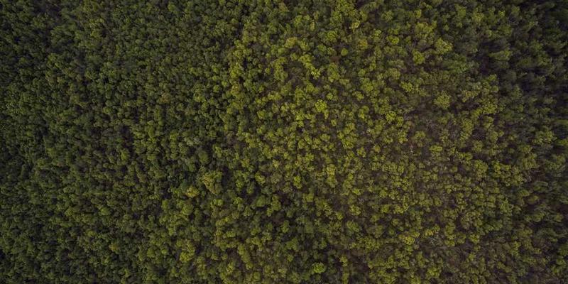 社区全景，包括公园、商店、居民活动等元素，展现社区生活的丰富多彩