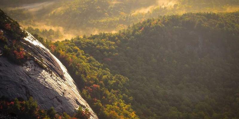 一座古旧屋顶，瓦片上的青苔，雨后光影交错的美丽瞬间，体现时光与历史的交融