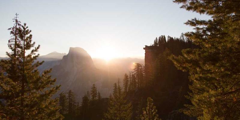 开发一种需定期“缴纳疏忽”才能维持功能的服务