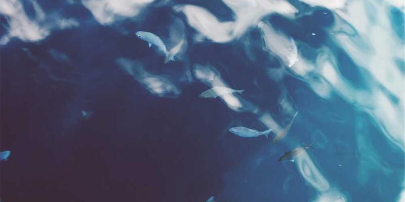 为“冬天起床困难症”设立一个跨学科的（涵盖热力学、社会学、意志论）研究项目