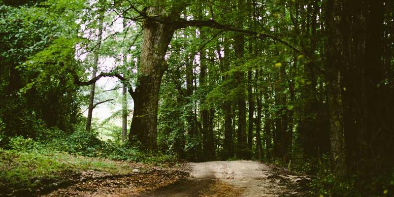 千与千寻海报说明