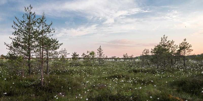 一群人在社交媒体平台上分享自己的文字创作，互相点赞和评论，画面充满活力和创意