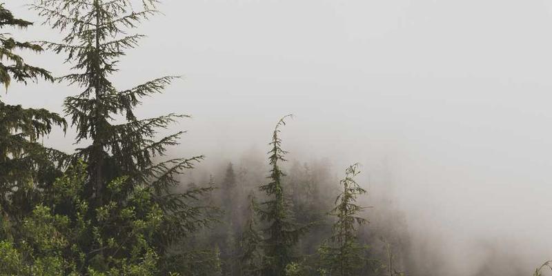 象征性的火葬仪式，火焰中焚烧着密码符号的纸张，寓意安全处理废弃密码