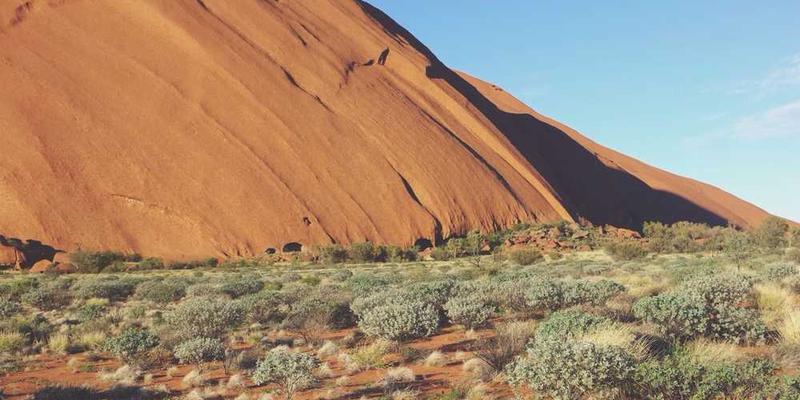 说明：一张展示世界地图的图片，地图上标注了各国签证政策的区域，并配有相应的图标或文字提示