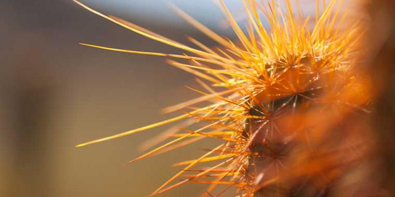 把破碎的镜子碎片收集起来，拼凑出一幅“断裂的自我凝视”神像