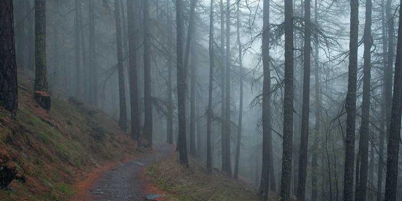 说明：僧人们在为信徒剃度，寓意放下尘世的纷扰