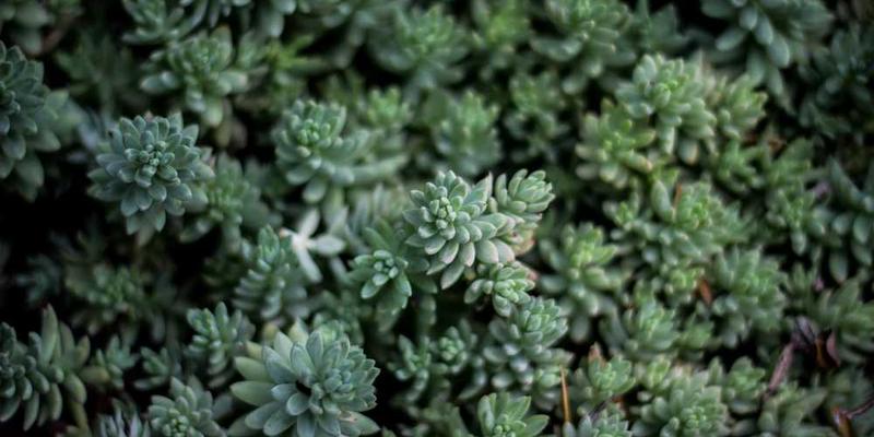 瑜伽垫和瑜伽动作