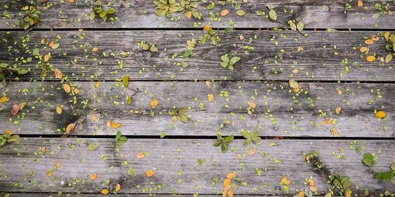 分析“个性化推荐”：算法扮演的“读心术精灵”，精准投喂你的贪婪