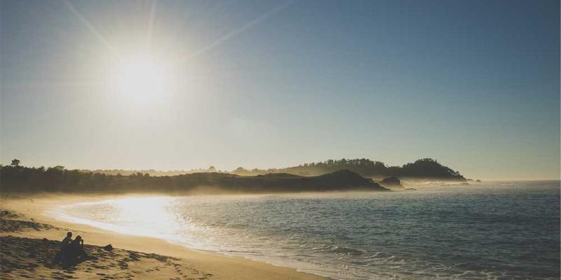 三养火鸡面包装和内容展示