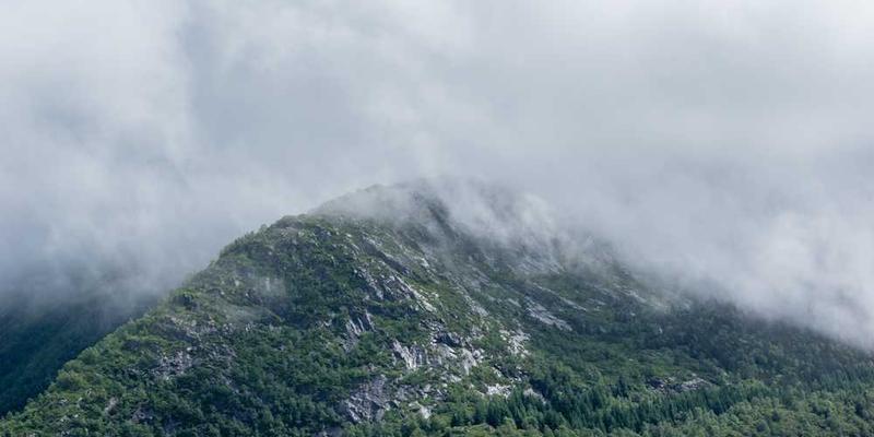 分析百年广告史,AI总结出人类欲望的变迁:从拥有物品到成为体验。