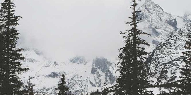 VideoHive首页截图