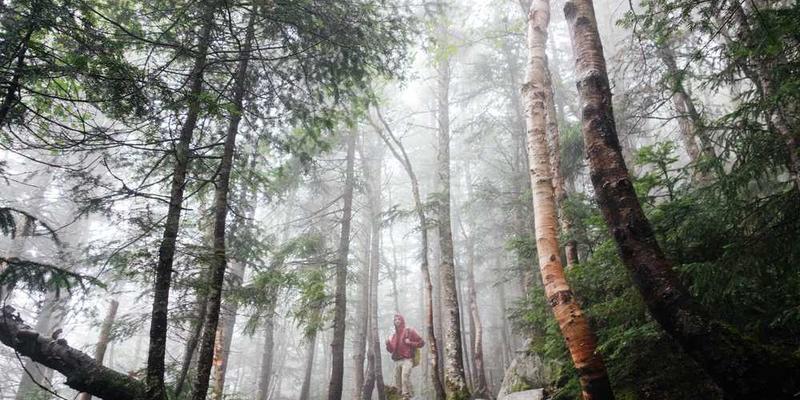 从兴趣到收入：我如何将业余爱好发展为可持续副业