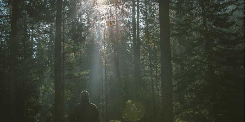 微型小说挑战:如何在500字内讲一个完整的故事?