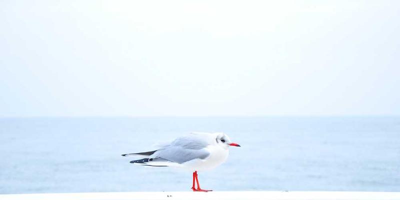 办公室工作人员进行眼部运动