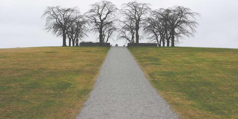 一位青年在图书馆查阅书籍，表情专注。说明：在书中寻找反驳观点，挑战自我认知的场景。