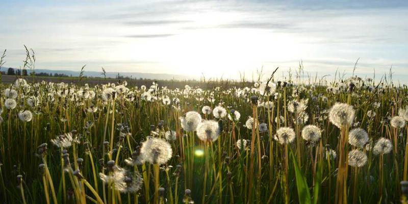 用食物的烹饪过程(煎炒烹炸)来隐喻不同的创作或问题解决方式