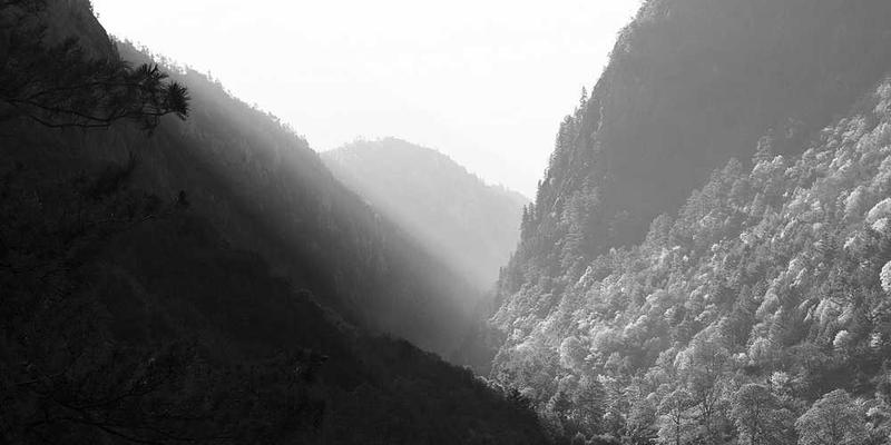 分析一杯烈酒入口后,从舌尖到喉管的灼热感扩散路径与强度衰减曲线