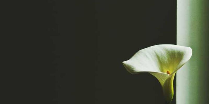 说明：一张展示特定玻璃杯和饮用动作的图片，背景为朝阳初升的东方