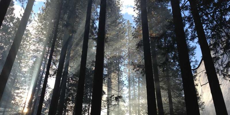 尝试“剪辑”你的一天：像剪辑视频一样，删除无聊片段，循环播放美好瞬间