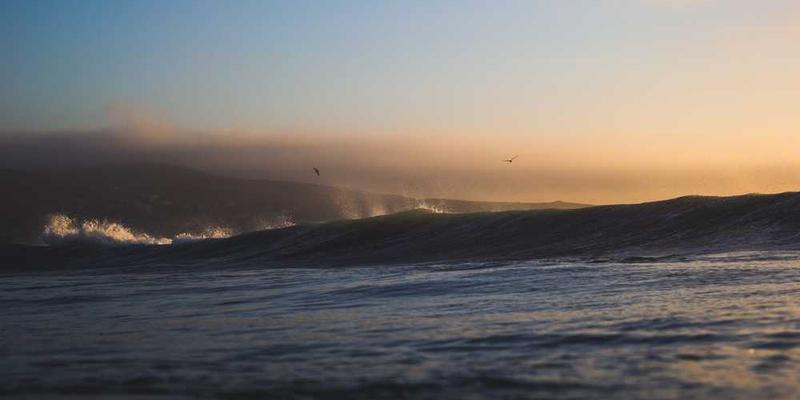 Shutterstock Video首页截图