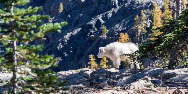 一位舞者在灯光下翩翩起舞，音乐环绕其中，表现出听觉的视觉化舞蹈