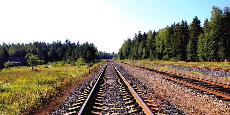 建立“时间慈善”制度：定期将一段高质量时间，无偿赠予他人或虚无之事