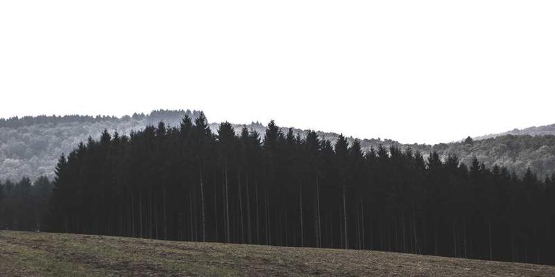 一位成年人独自坐在安静的角落,手中握着一张与虚构朋友的照片,眼神中充满了沉思和回忆