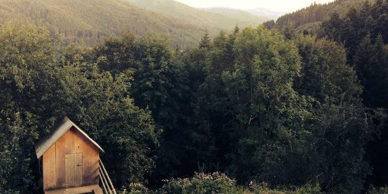 一个医生正在用放大镜仔细观察一个复杂的机械结构，象征着对专业术语的深入解读和转化