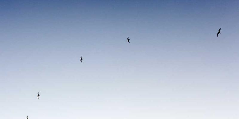 家庭急救箱配置清单：每个家庭都应备好的物品