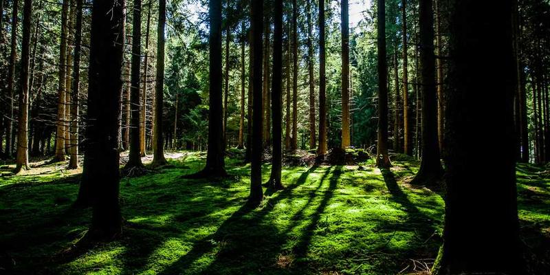 一位玩家手持垃圾分类卡牌游戏牌，背景是一个五彩斑斓的垃圾箱，象征着环保主题的丰富和乐趣