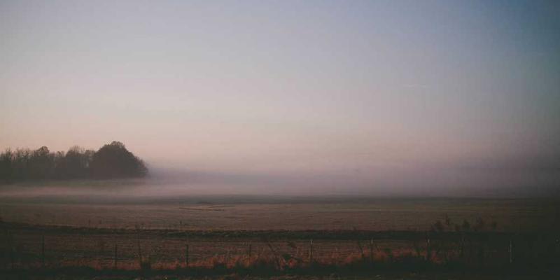 用博物学家的笔法，记录窗台上灰尘迁徙的规律与疑似原因
