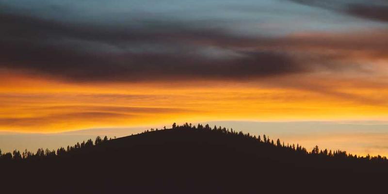 将刷牙分解为二十个独立的动作，感受其从清洁变为机械舞蹈的临界点