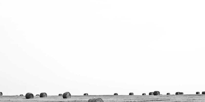 数字时代的礼物：连接加深了，孤独感为何却更强了？