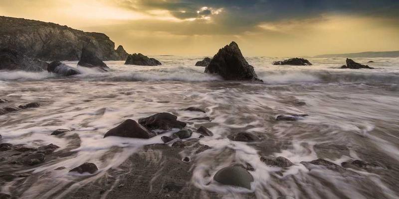 测量从产生一个想法到将其遗忘的“想法半衰期”